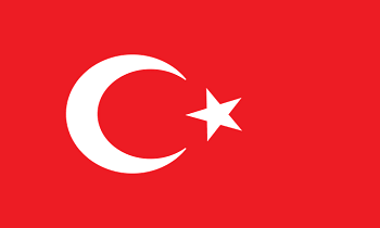 turkiyeye-tasima-yapan-firmalar